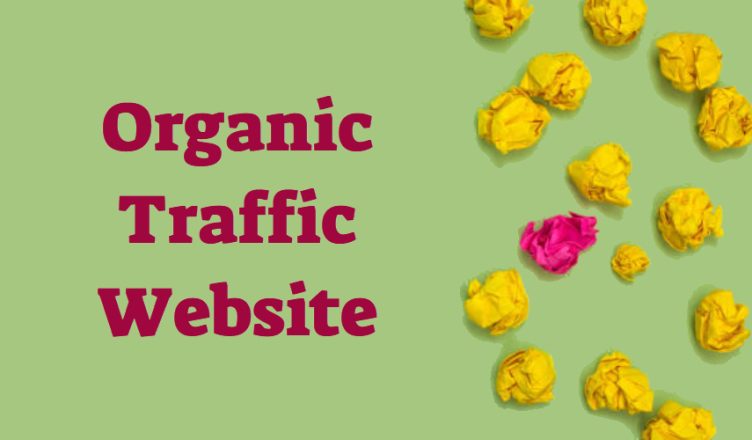 Organic Traffic Website
