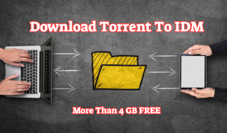Torrent File with IDM
