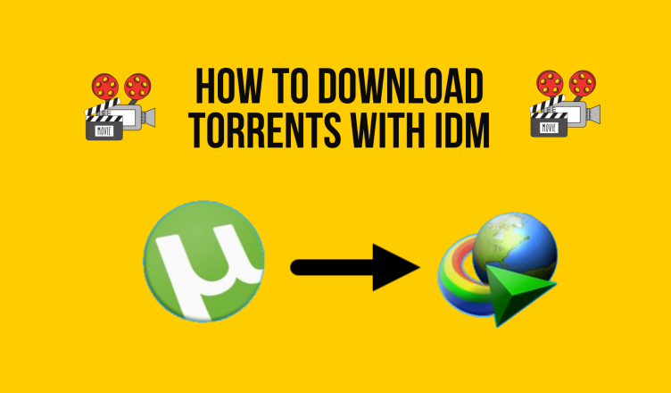 torrent file to idm