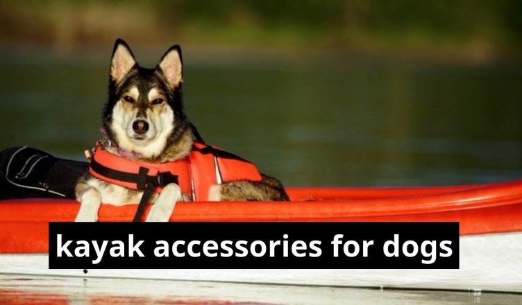 kayak attachments for dogs