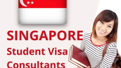 How to apply for a student visa in Singapore ?